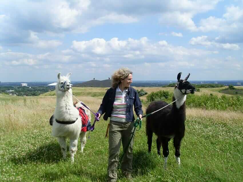 MEINUNG! Beate Pracht & Andrea Eikelmann: Personalentwicklung & Coaching mit Tieren