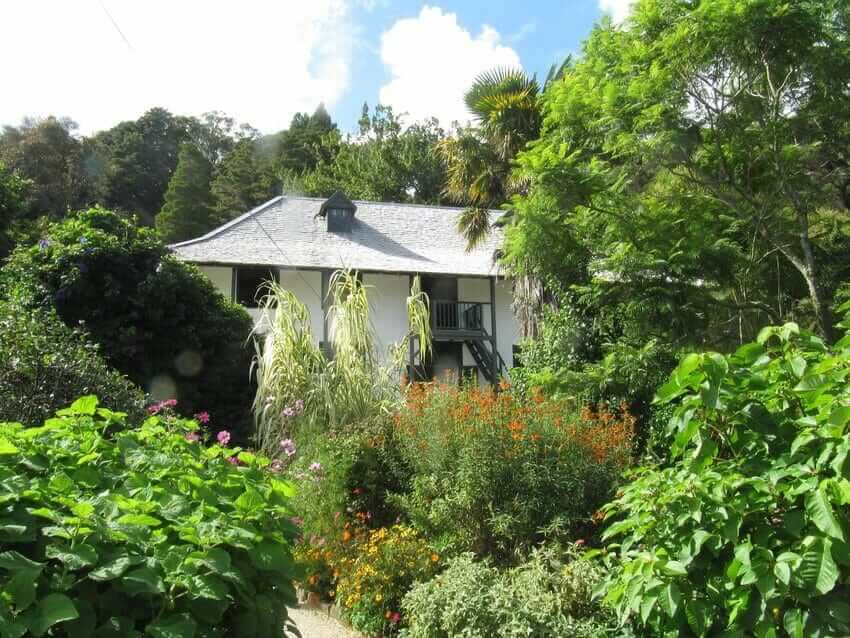 garden garden