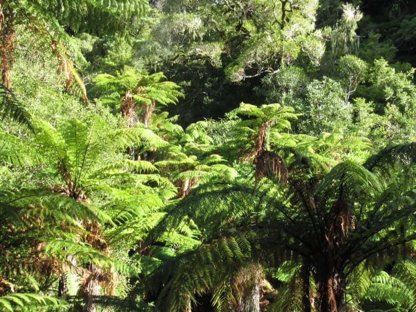 Best of HR – Berufebilder.de®