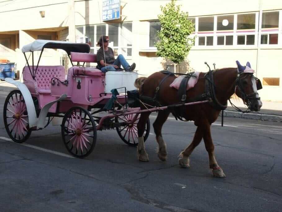 Mut zur Verändung: Wachstum mit knappen Resourcen