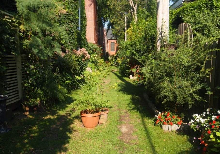 Arbeiten wie Digitale Grüne Nomaden: 6 Tipps für den Öko-Trend