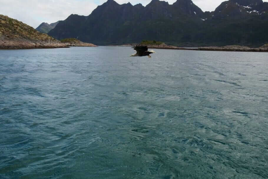 Glücklicher & besser leben: Positive Einstellung, Denkmuster ändern