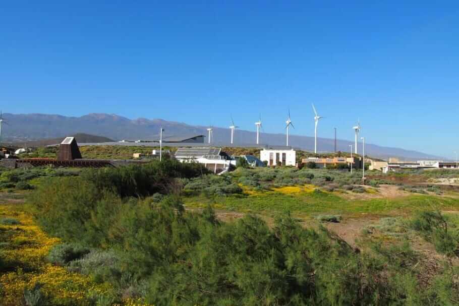 Vom Umweltschutz für produktives Arbeiten lernen: Energieeffizient im Büro