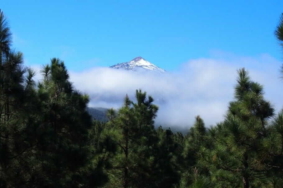 teneriffa-teide004