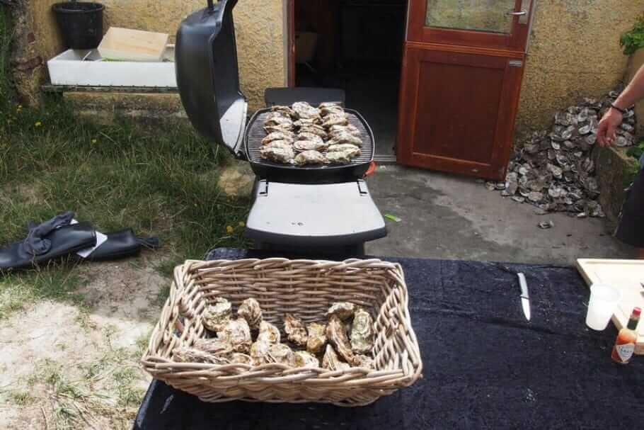 Oyster Safari Fanoe-Denmark010