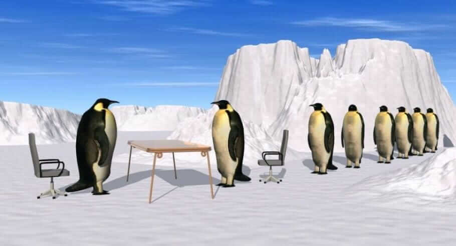 Jobinterview – 6 unkonventionelle Fragen für Recruiter: Den perfekten Mitarbeiter finden Jobinterview – 6 unkonventionelle Fragen für Recruiter: Den perfekten Mitarbeiter finden