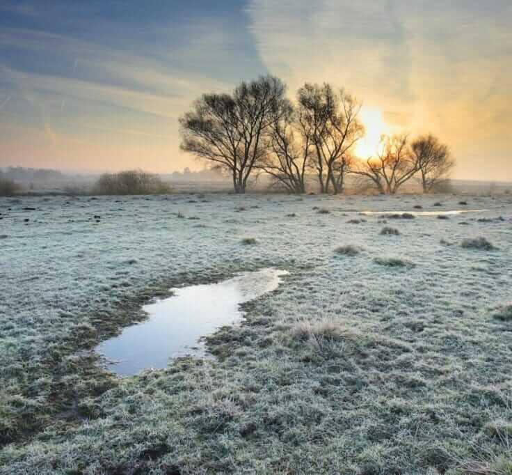 Reflexionsphasen nutzen, Ziele erreichen: 5 Schritte für gute Vorsätze