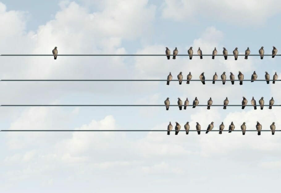 Teamwork Schwarmintelligenz & Herdendummheit: 6 Tipps für effektive Zusammenarbeit Teamwork Schwarmintelligenz & Herdendummheit: 6 Tipps für effektive Zusammenarbeit
