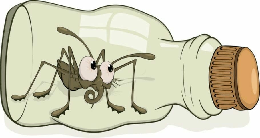 Lernen vom Spin-Doktor: 6 Erfolgs-Tipps den Berufsalltag