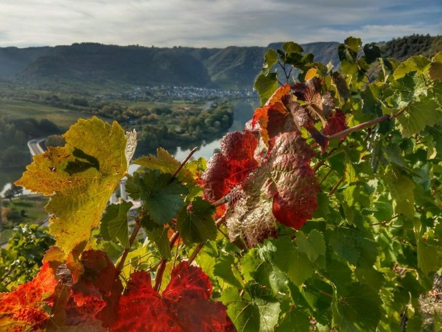 Sinn & Glück im Arbeitsleben: Zeit für das Wesentliche