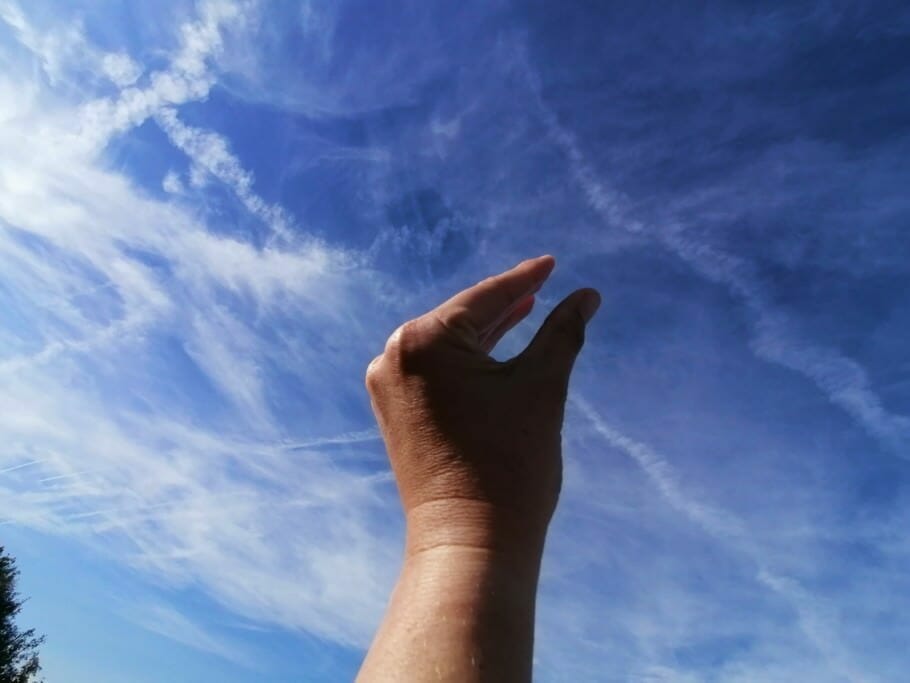 Menschen lesen verstehen lenken: Körpersprache vs. Rhetorik