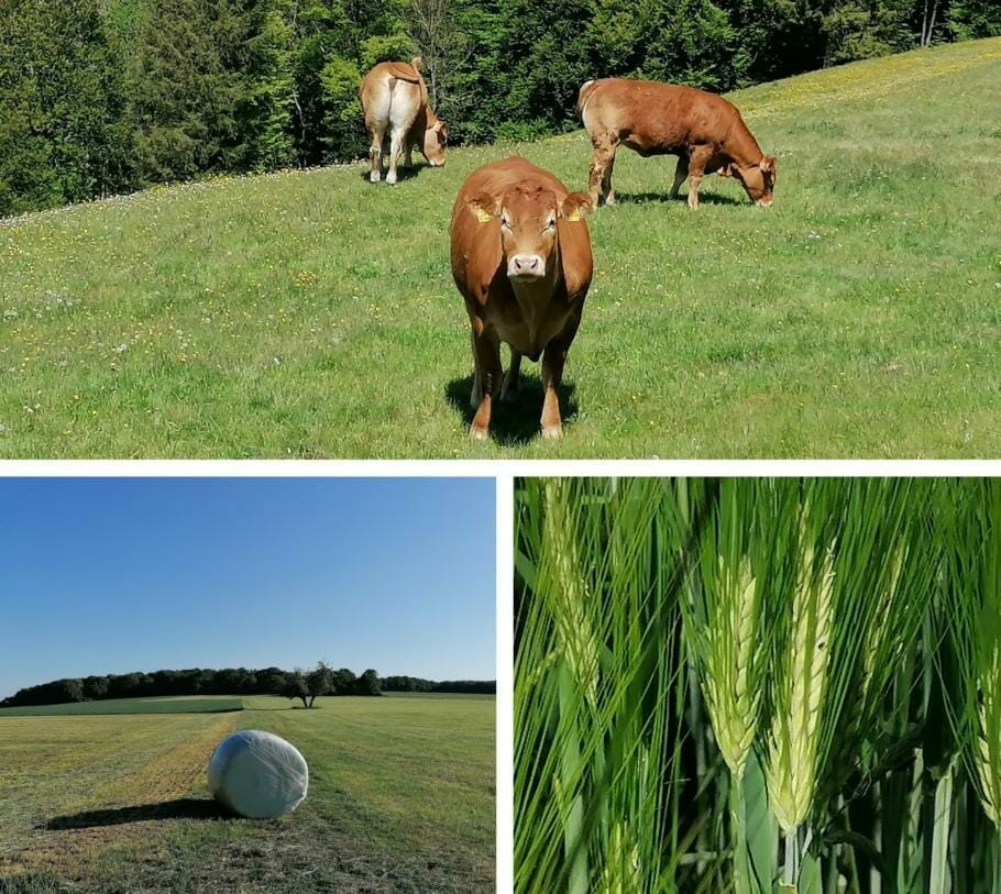Berufsbild! Landwirtschaft: Bauer sucht Zukunfts-Perspektive