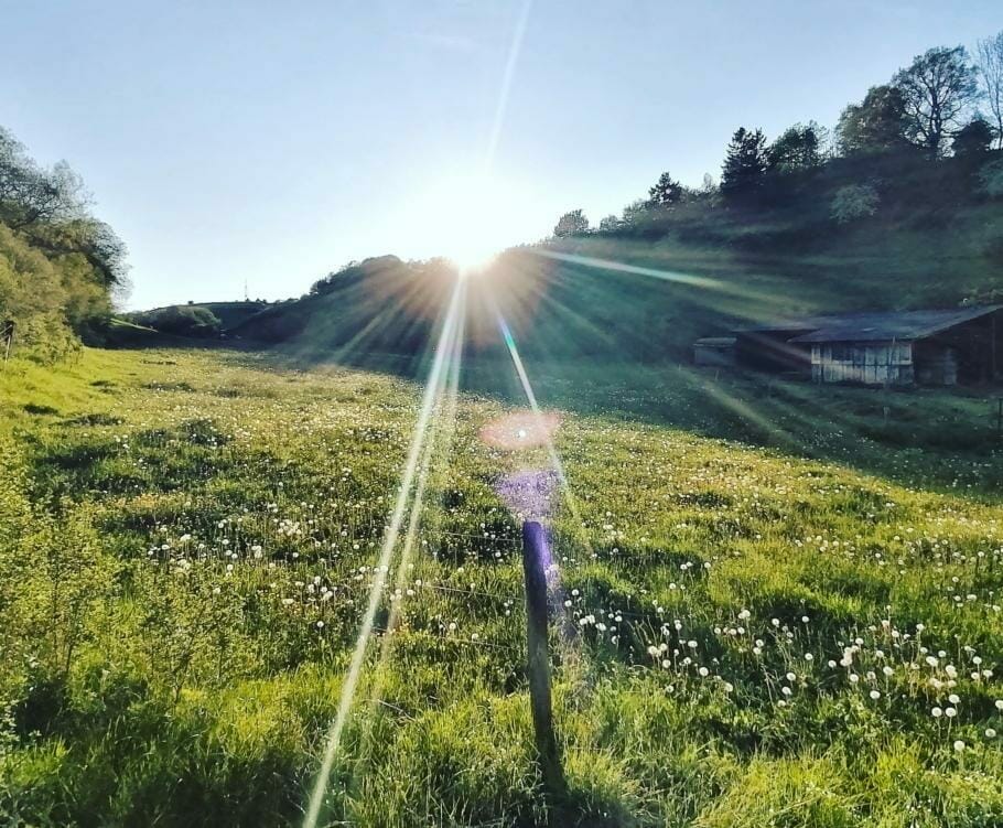 Glücklich Leben & Arbeiten: Geiz ist nicht geil