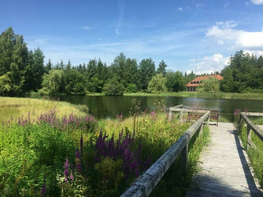 The 6 Best Hotels for Activities Nature Events with Good Food {Reader's Travel Tip}