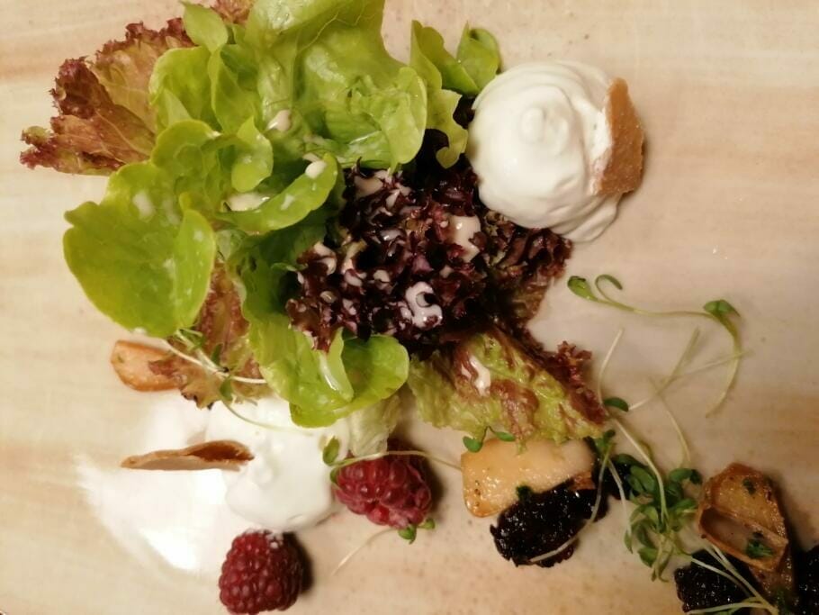 The 6 Best Hotels for Activities Nature Events with Good Food {Reader's Travel Tip}