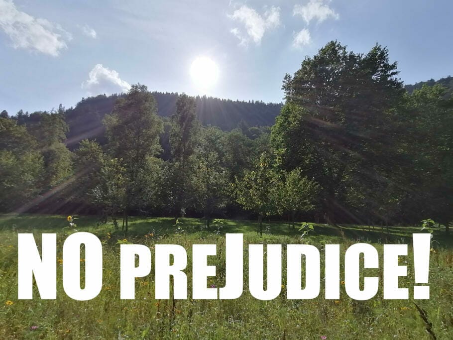 Prejudices, the trap of simplification: pigeonhole thinking: 4 + 10 tips against the sluggish brain