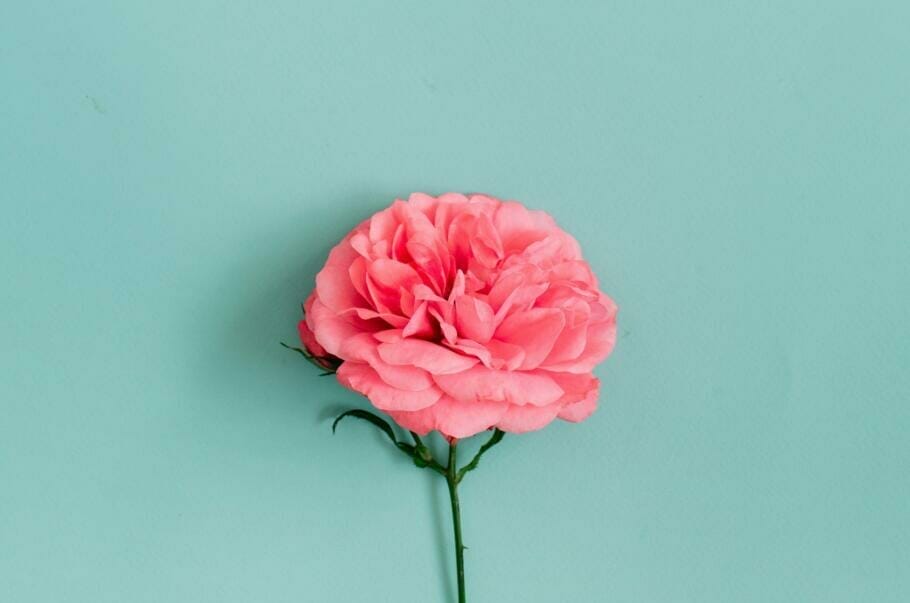 Gutes Benehmen für Führungskräfte: Authentisch Nettsein bringt Vorteile