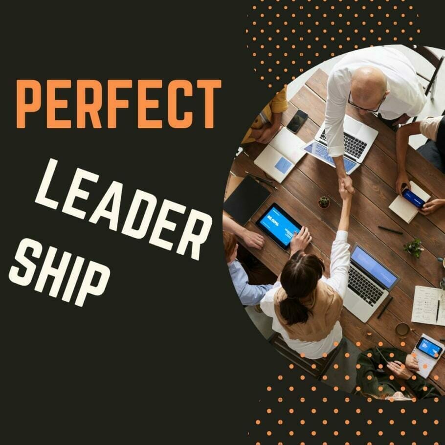 Perfect Leadership {eLearning On Demand} Perfect Leadership {eLearning On Demand}