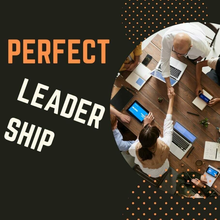 Perfect Leadership {eLearning on Demand}
