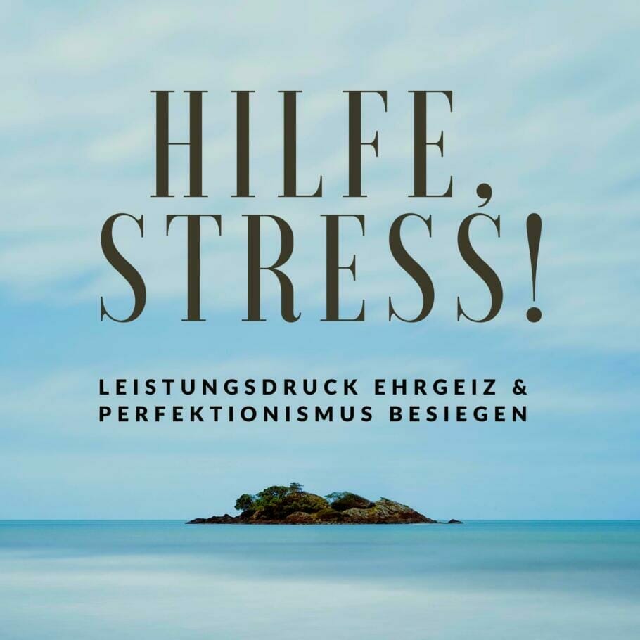 Hilfe Stress! Leistungsdruck Ehrgeiz & Perfektionismus besiegen {eLearning On Demand}