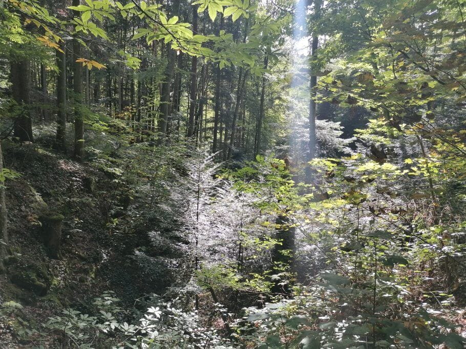The 6 best locations for company health management & active weeks: thermal baths, philosophers & Matthias Horx {reader travel tip}