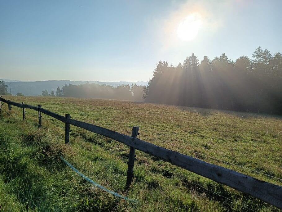 Mit Bikes, Booten, Gleitschirm & Kunst durch die Natur: 5 einzigartige Locations {Leser-Reise-Tipp}