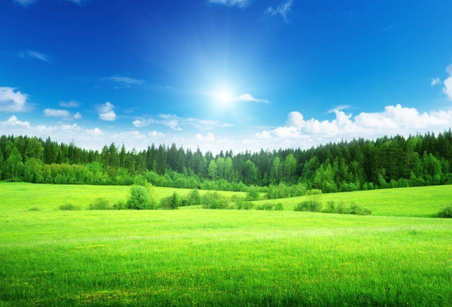 Die Geheimnisse der menschlichen Psyche: Eine Reise zur Selbstfindung in die Eifel