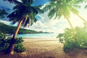 Wellness und Entspannung: Eine Reise auf die Seychellen zur Erholung von Körper und Geist