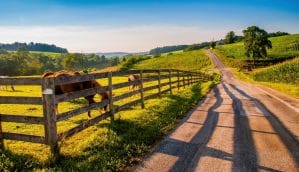 Aussteigen für Anfänger: Auf den Spuren der Amish durch Pensylvania