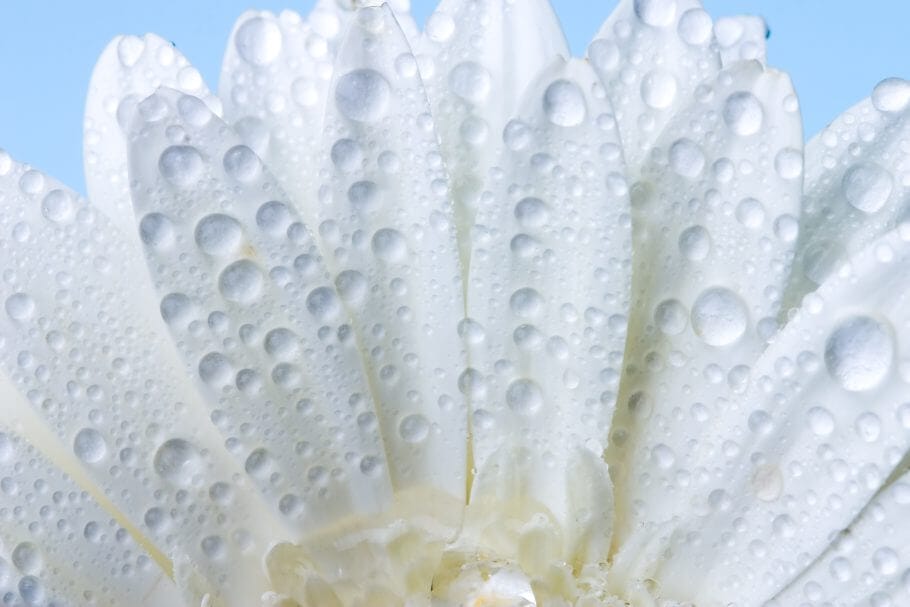 Einfühlsam & warmherzig zum Erfolg: Umgang mit Emotionen im Beruf