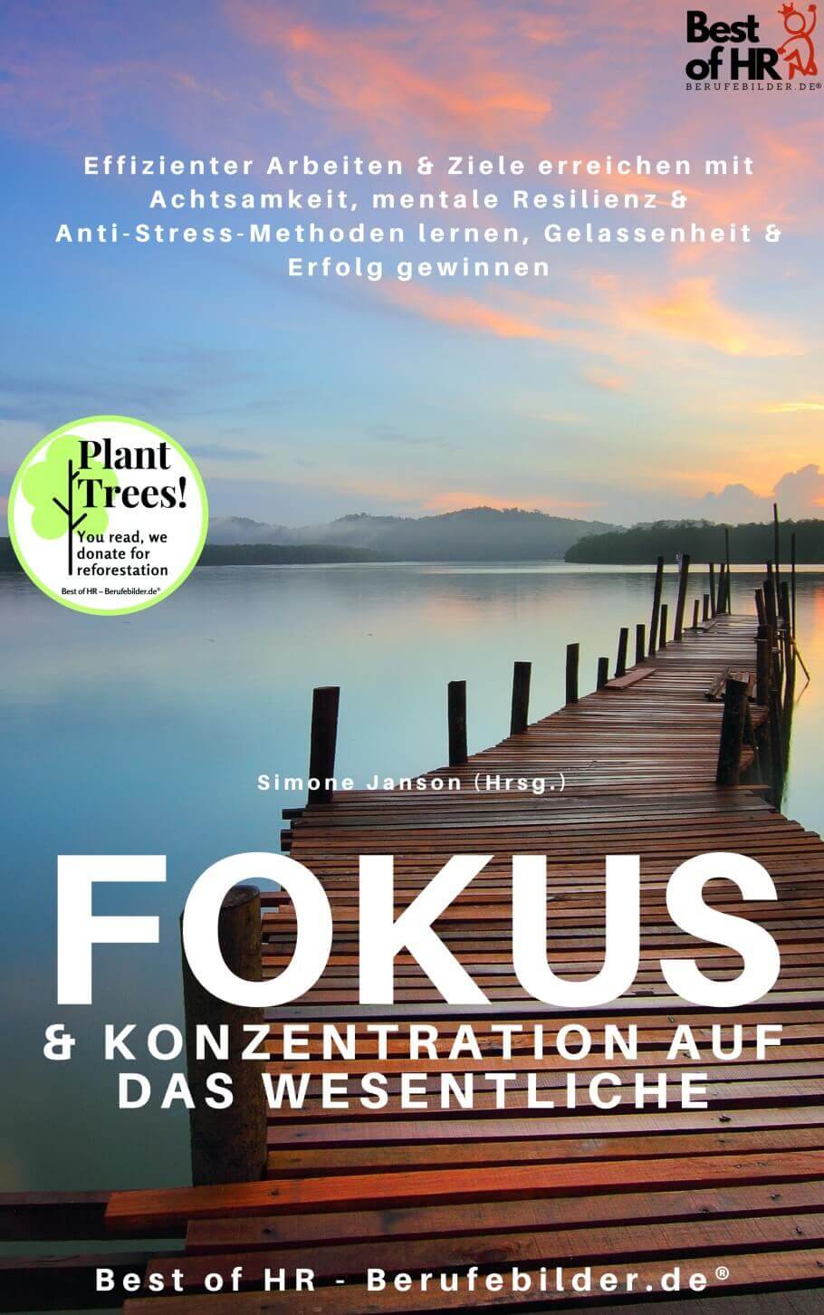 Fokus & Konzentration auf das Wesentliche [50% Rabatt] [Digital]
