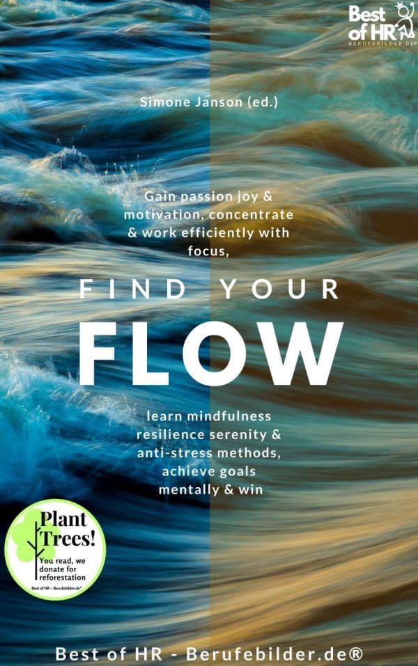 Find your Flow (Engl. Version)