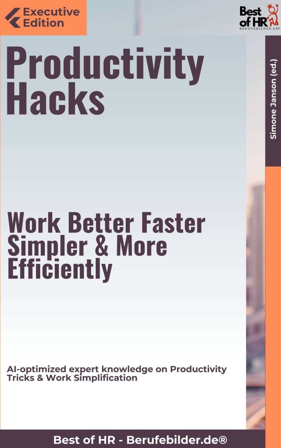 Productivity Hacks – Work Better, Faster, Simpler, & More Efficiently (Engl. Version)
